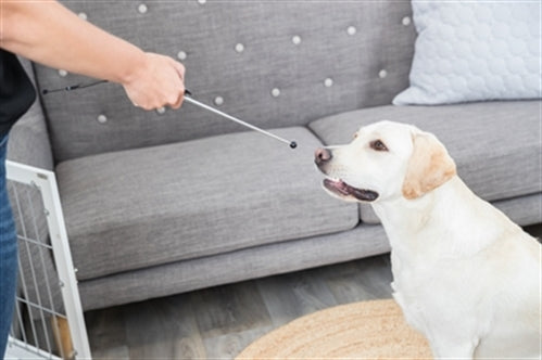 TRIXIE DOG ACTIVITY TARGET STICK AANWIJSSTOK ASSORTI 14-65 CM