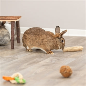 TRIXIE GRASSPEELGOED MET JUTE 16X3,5X3,5 CM