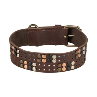 TRIXIE HALSBAND HOND RIVET RUSTIC VETLEER DONKERBRUIN L 47-54 CMX4 CM