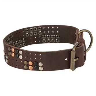 TRIXIE HALSBAND HOND RIVET RUSTIC VETLEER DONKERBRUIN XL 55-65 CMX4 CM