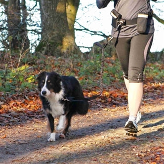 TRIXIE HEUPRIEM MET JOGGINGLIJN ZWART RIEM 60-120 CM LIJN 100-135 CM