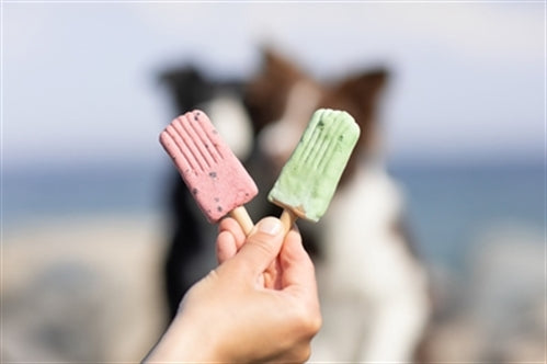 TRIXIE ICE POP GROEN 55 GR