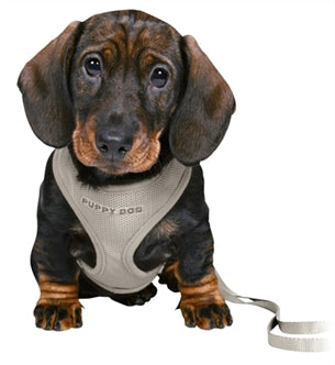 TRIXIE JUNIOR PUPPYTUIG SOFT MET RIEM LICHTGRIJS 26-34X1 CM / 2 MTR