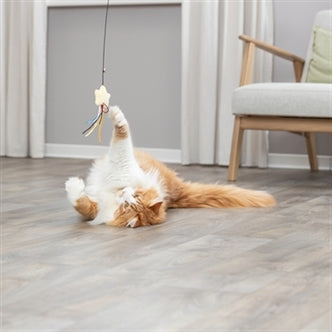 TRIXIE KATTENHENGEL STER KUNSTSTOF / PLUCHE MET CATNIP 46 CM