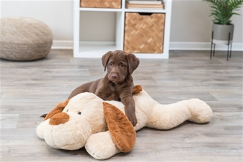 TRIXIE KNUFFEL HONDBENNY PLUCHE BEIGE / BRUIN 75 CM