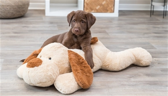 TRIXIE KNUFFEL HONDBENNY PLUCHE BEIGE / BRUIN 75 CM