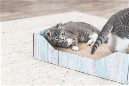 TRIXIE KRABMAND KARTON CATNIP TURQUOISE 45X33X12 CM