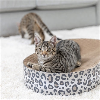 TRIXIE KRABMAT / MAND LEO KARTON MET KATTENKRUID / CATNIP CREME 63X35X10 CM