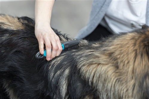 TRIXIE VACHT ONTVILTER GEBOGEN TANDEN 18 CM