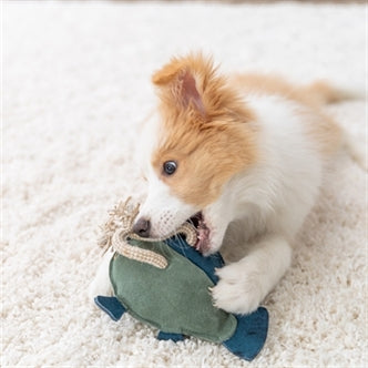 TRIXIE VIS LEER MET TOUW 28 CM