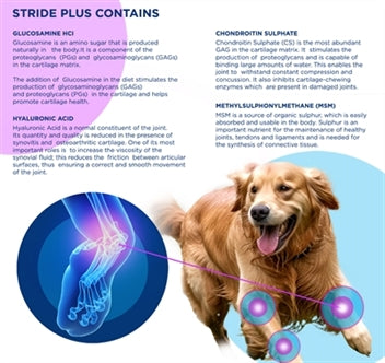 TRM STRIDE PLUS 200 ML