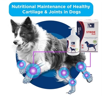 TRM STRIDE PLUS 200 ML